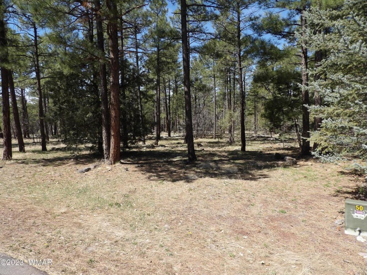 Picture of Residential Land For Sale in Lakeside, Arizona, United States