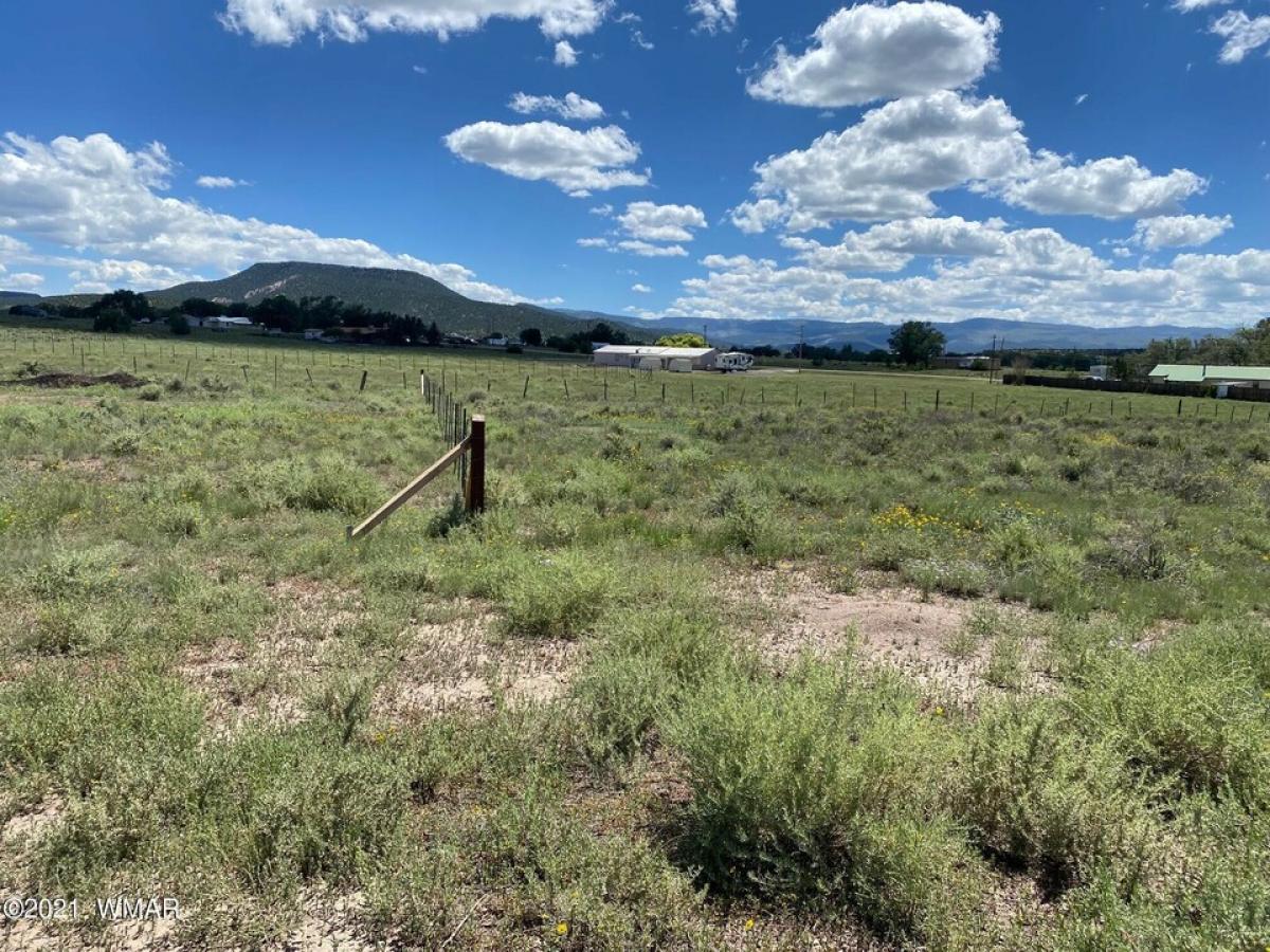 Picture of Residential Land For Sale in Springerville, Arizona, United States