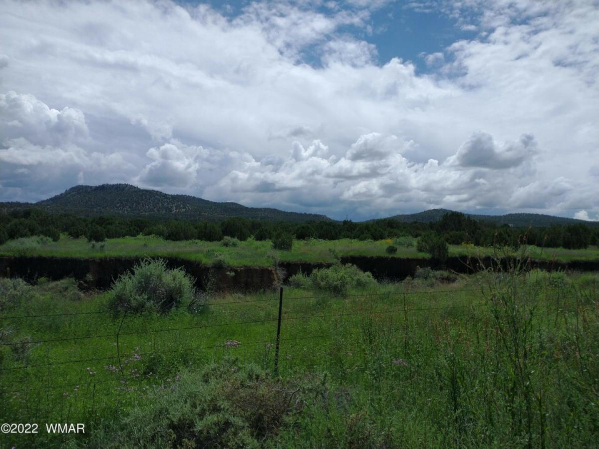 Picture of Residential Land For Sale in Vernon, Arizona, United States