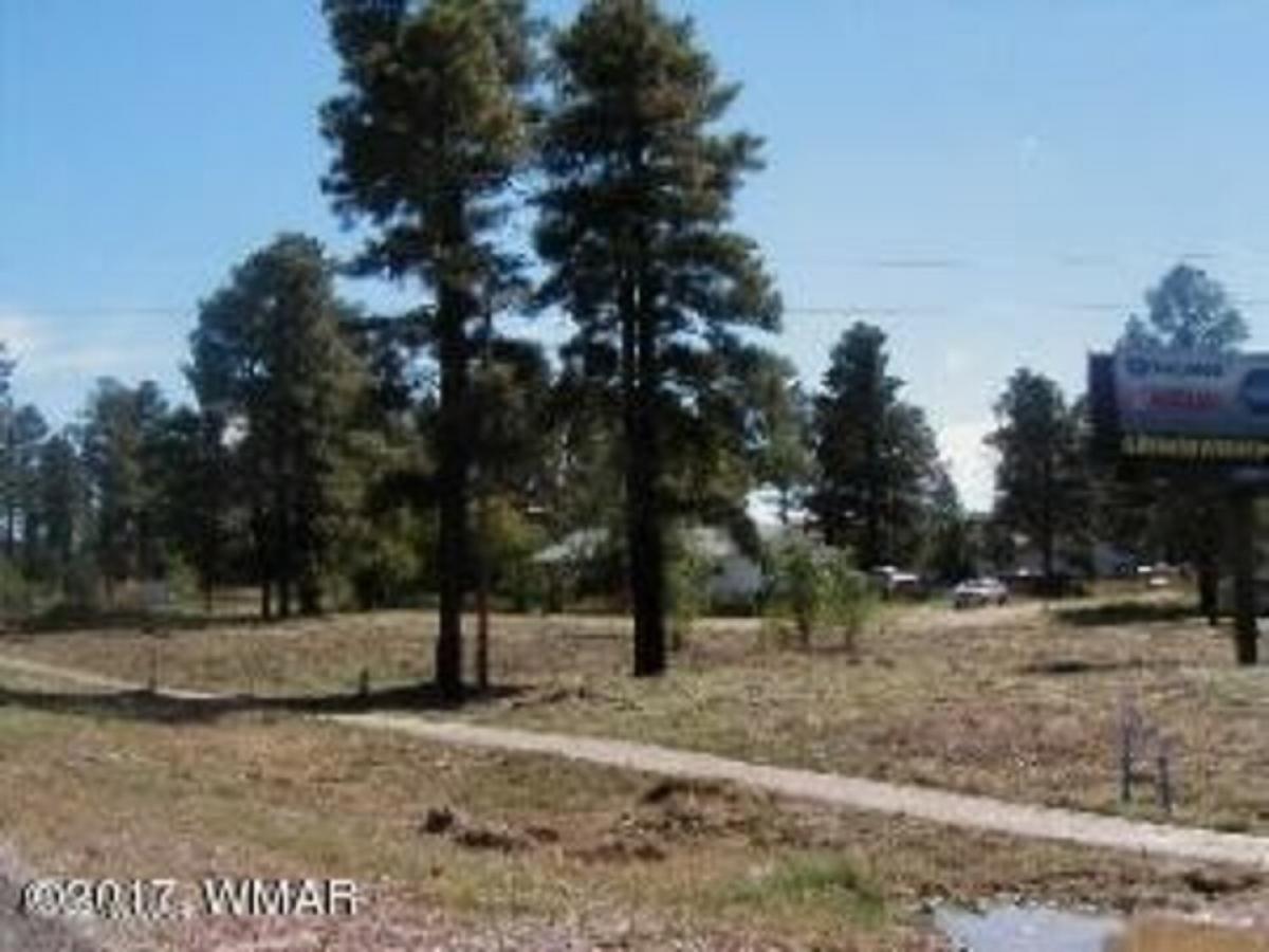 Picture of Residential Land For Sale in Overgaard, Arizona, United States