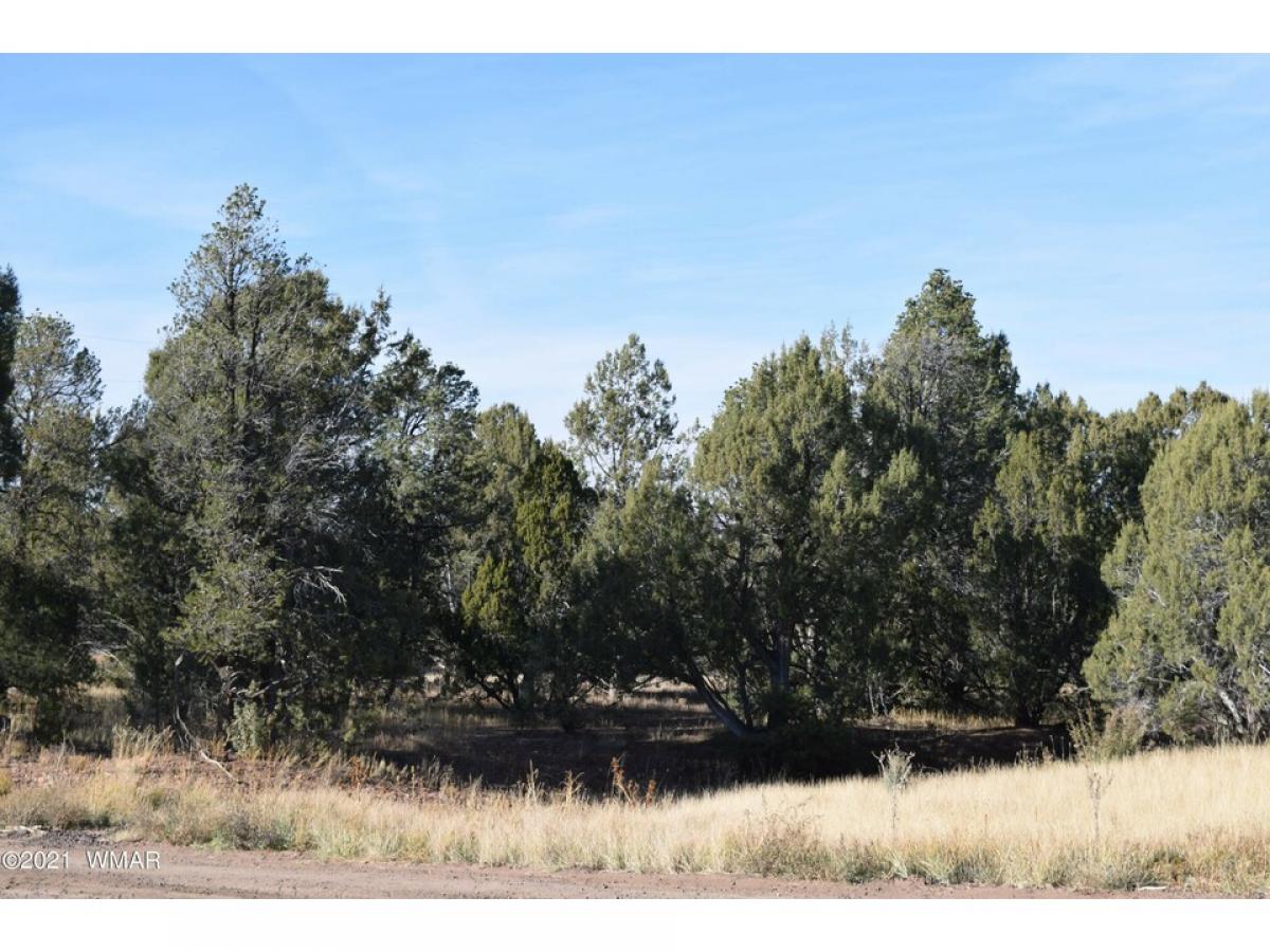 Picture of Residential Land For Sale in Clay Springs, Arizona, United States