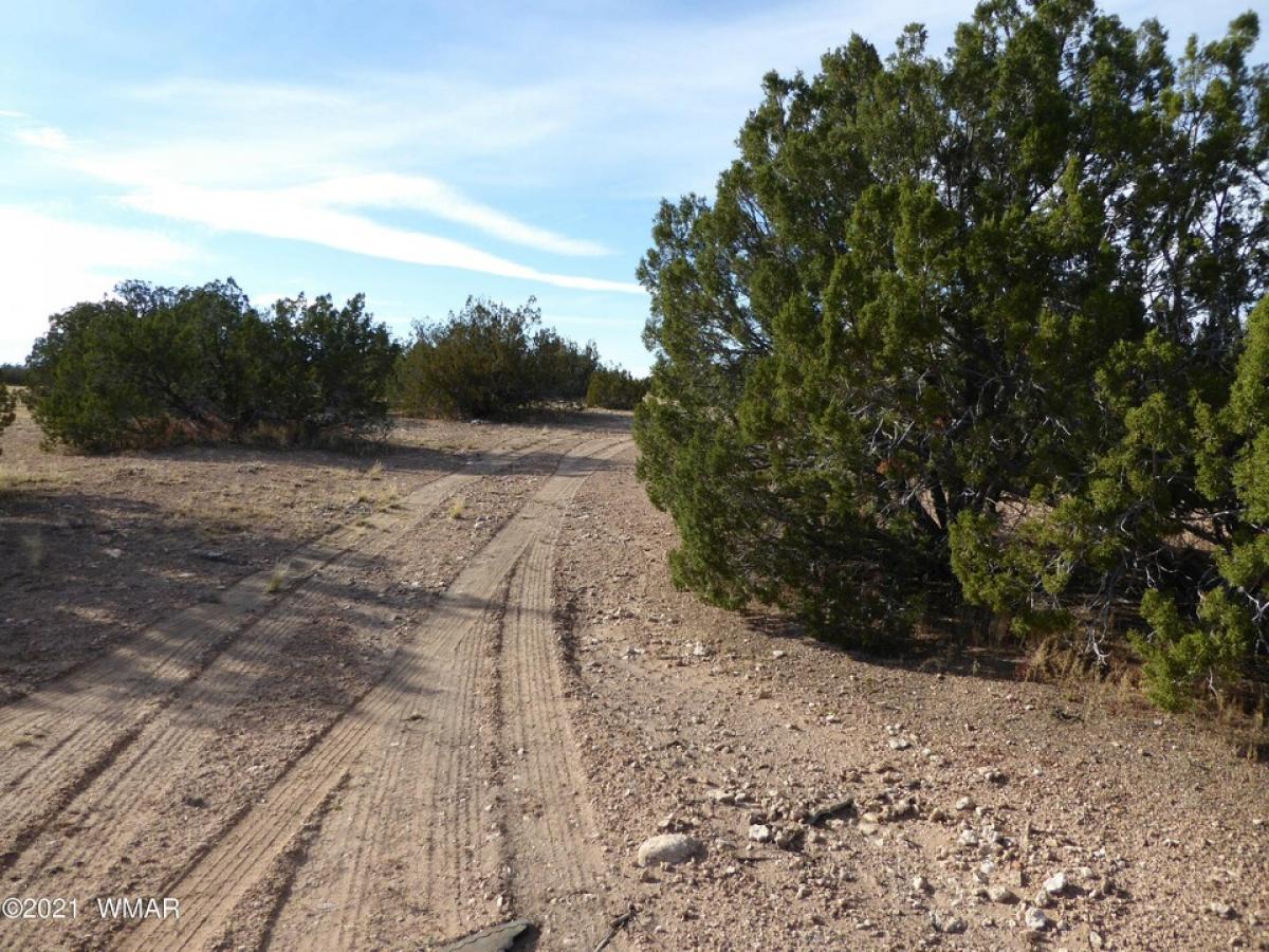 Picture of Residential Land For Sale in Heber, Arizona, United States