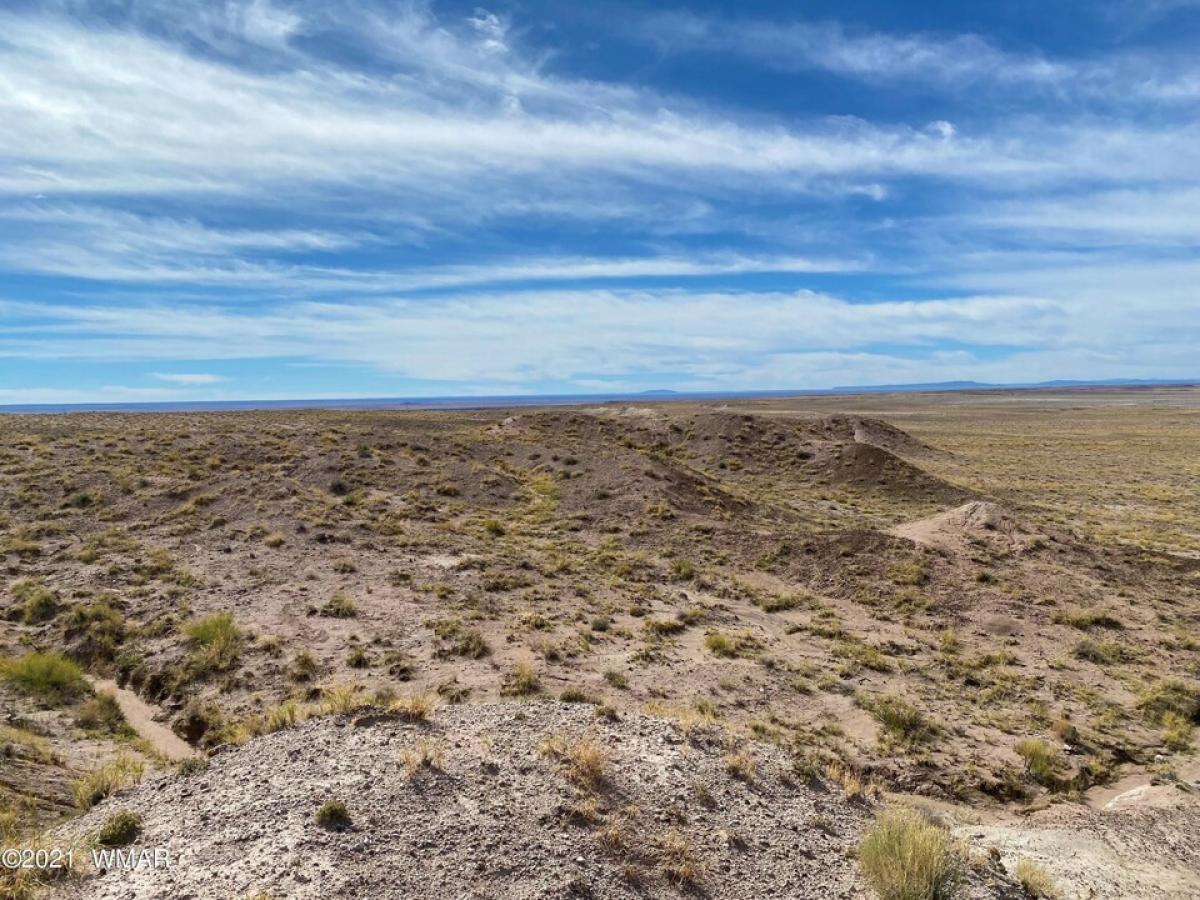 Picture of Residential Land For Sale in Joseph City, Arizona, United States