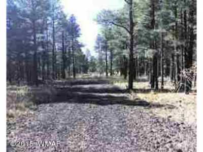Residential Land For Sale in Lakeside, Arizona