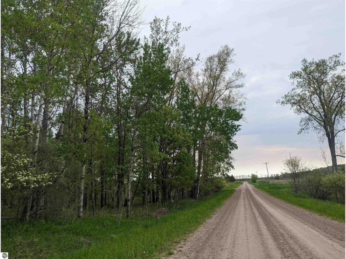 Picture of Residential Land For Sale in Turner, Michigan, United States