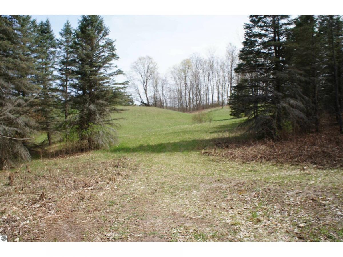 Picture of Residential Land For Sale in Mesick, Michigan, United States