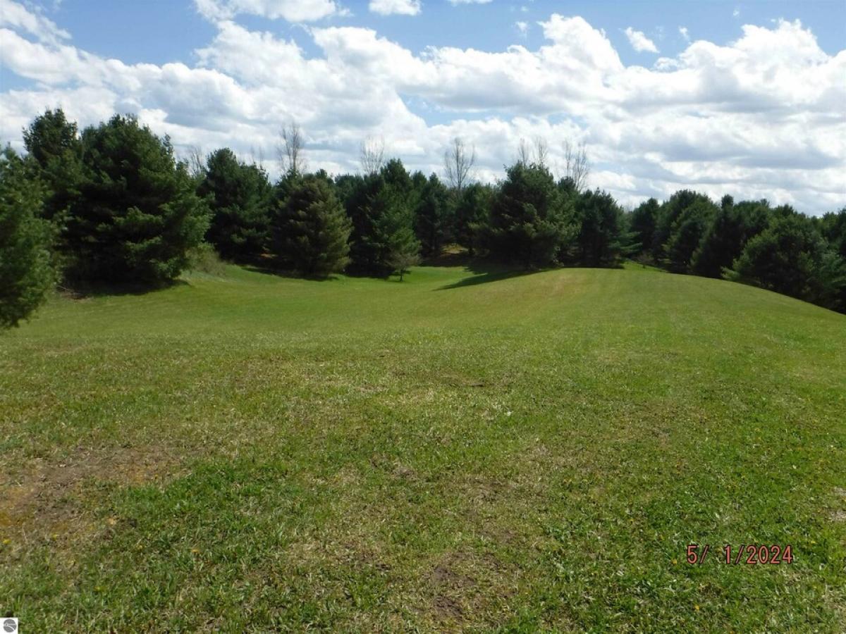 Picture of Residential Land For Sale in Harrisville, Michigan, United States