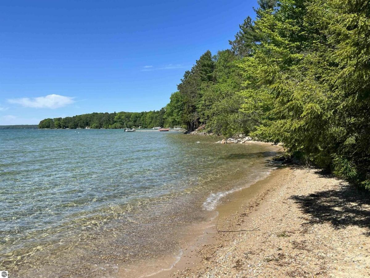 Picture of Home For Sale in Alden, Michigan, United States