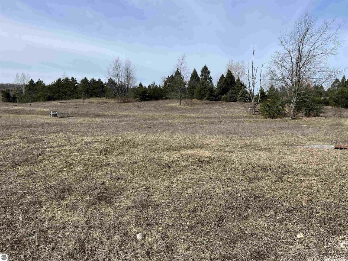 Picture of Residential Land For Sale in Maple City, Michigan, United States