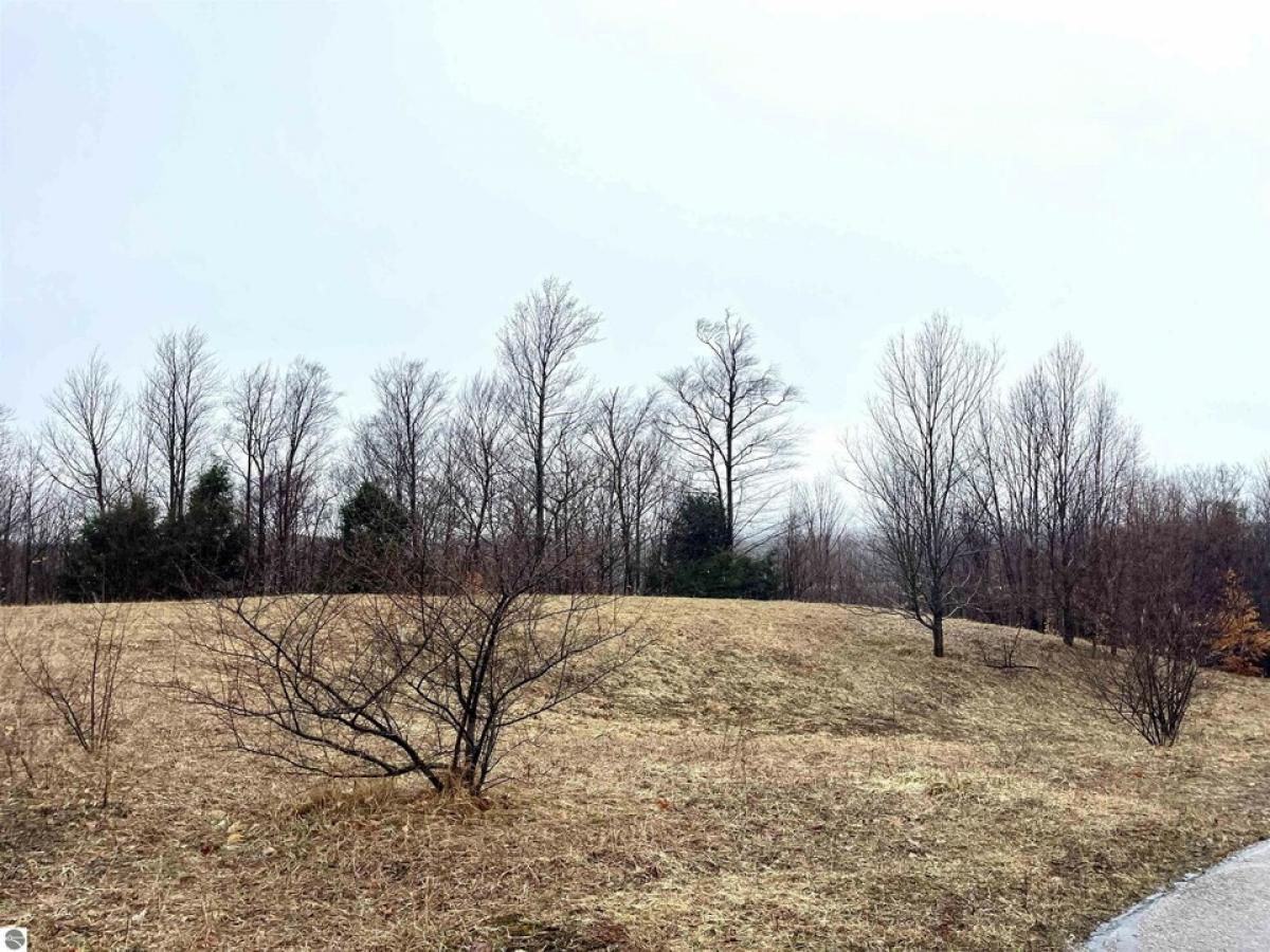 Picture of Residential Land For Sale in Grawn, Michigan, United States