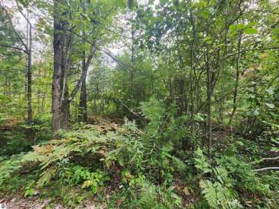 Residential Land For Sale in Spruce, Michigan