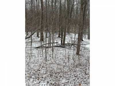 Residential Land For Sale in Bellaire, Michigan