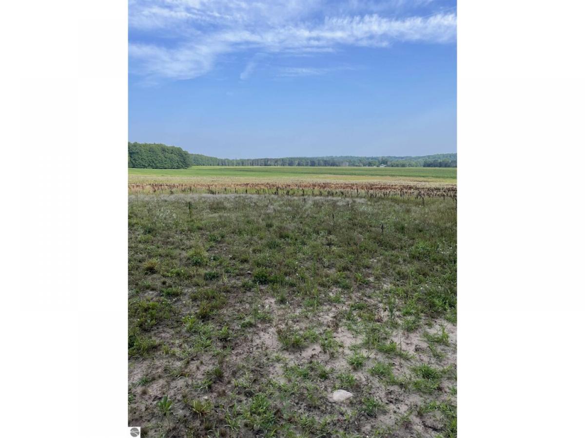 Picture of Residential Land For Sale in Reed City, Michigan, United States