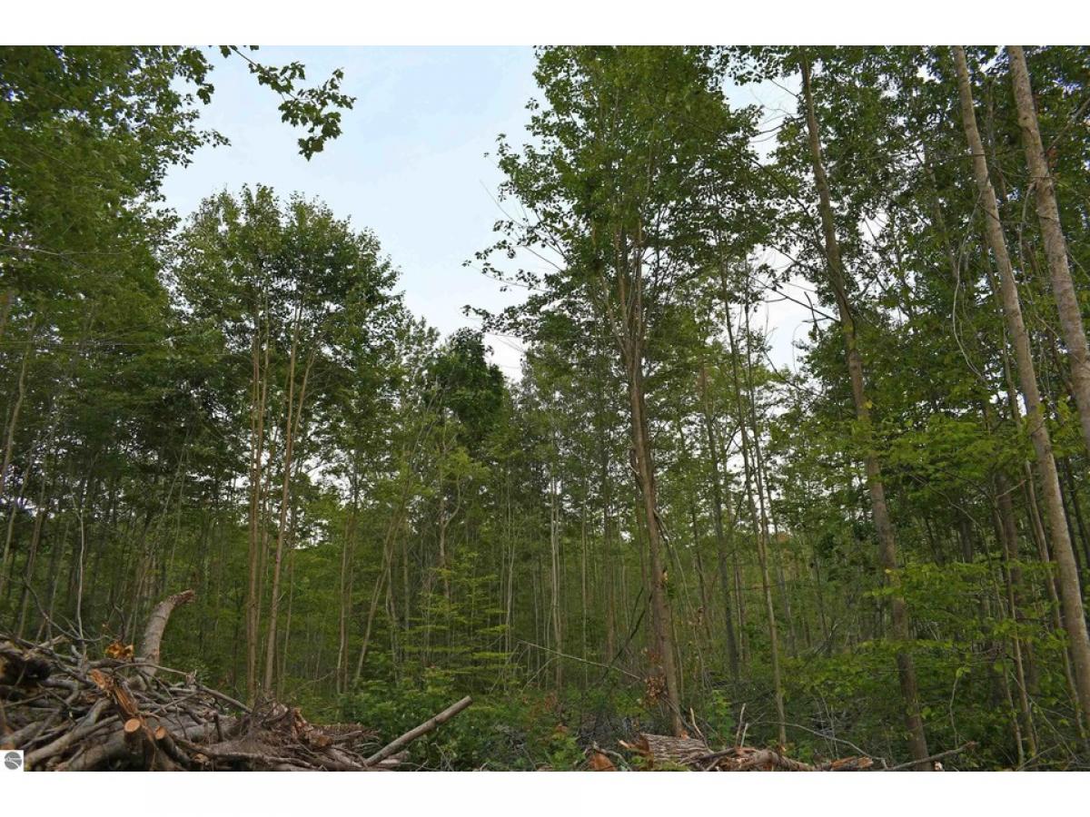 Picture of Residential Land For Sale in Mikado, Michigan, United States