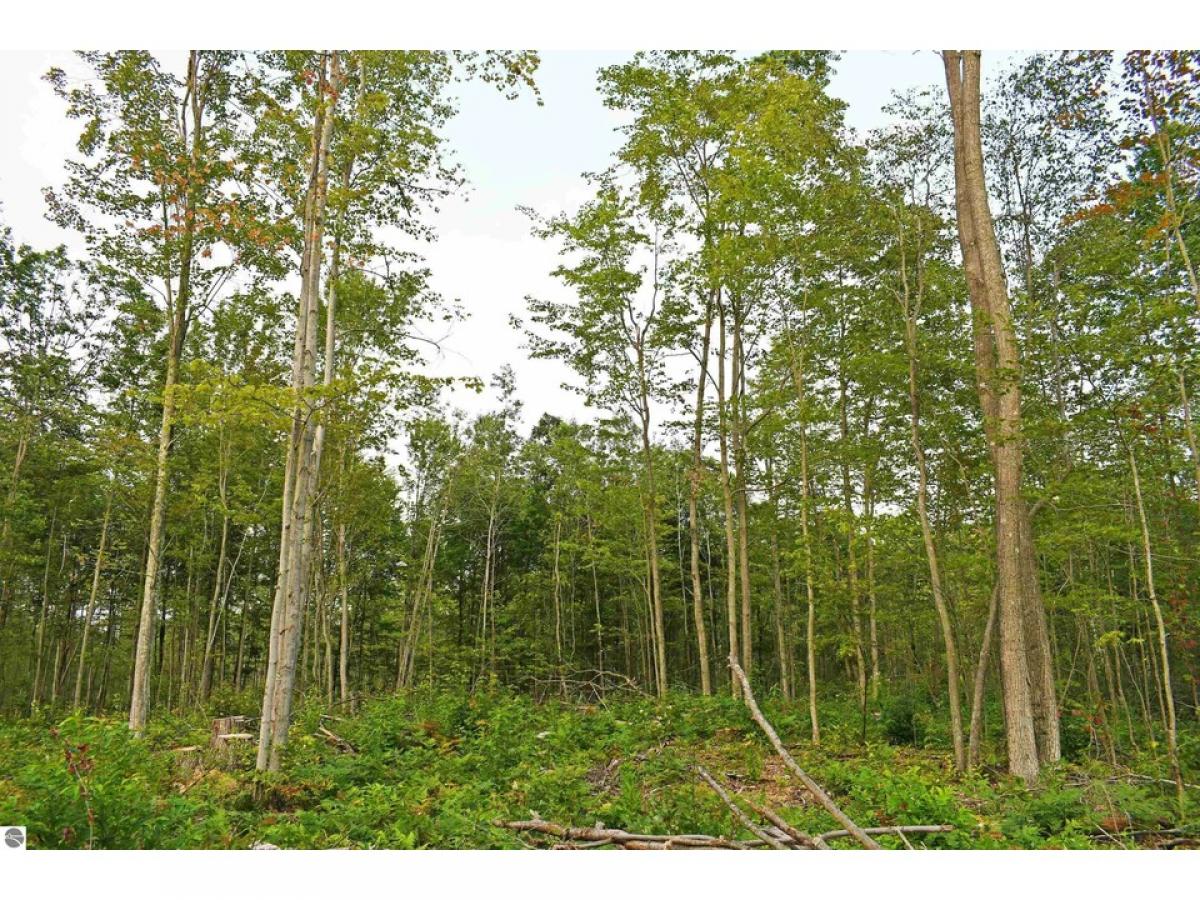 Picture of Residential Land For Sale in Mikado, Michigan, United States