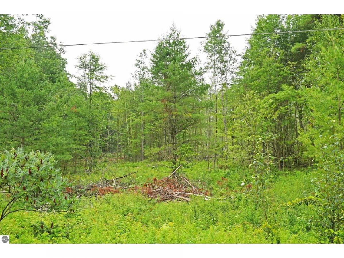 Picture of Residential Land For Sale in Greenbush, Michigan, United States