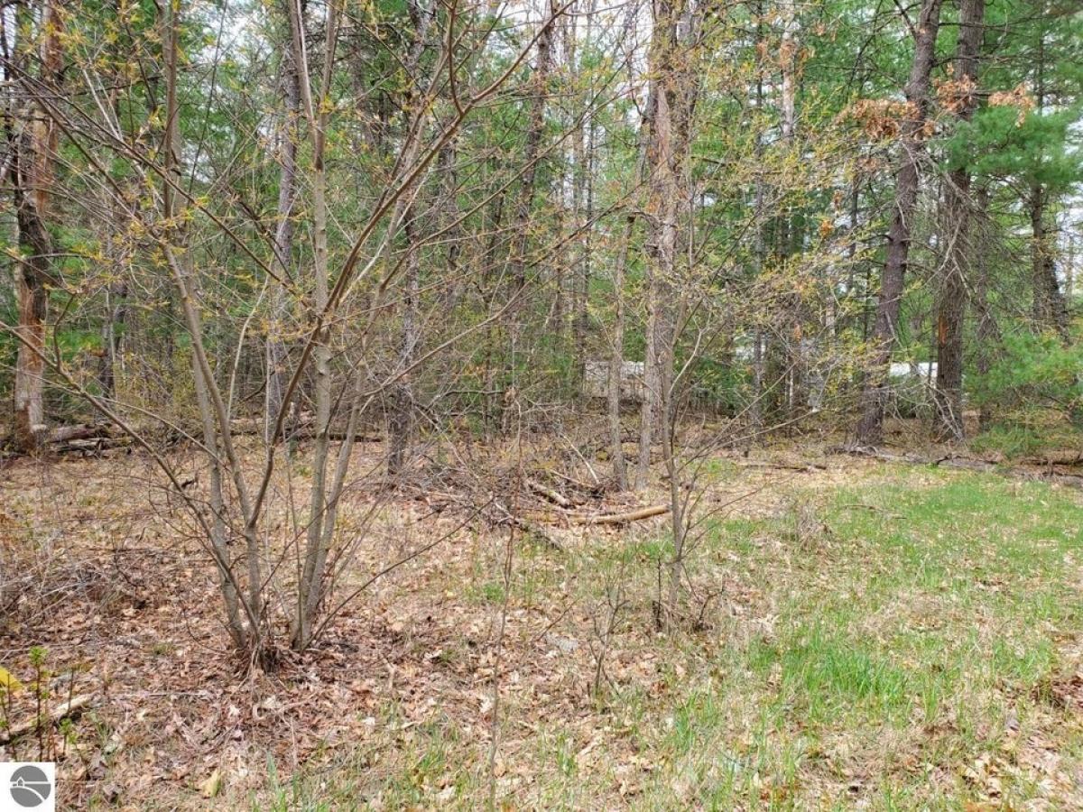 Picture of Residential Land For Sale in Prescott, Michigan, United States