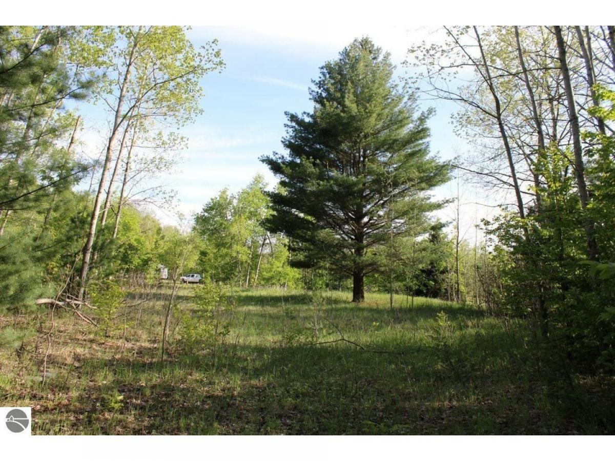 Picture of Residential Land For Sale in Mancelona, Michigan, United States