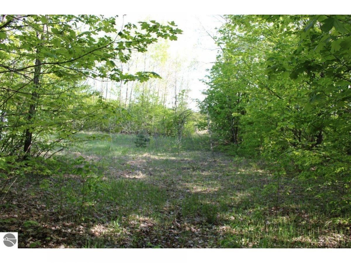 Picture of Residential Land For Sale in Mancelona, Michigan, United States