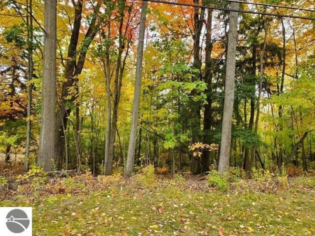 Picture of Residential Land For Sale in Tawas City, Michigan, United States