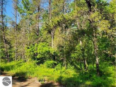 Residential Land For Sale in Alger, Michigan