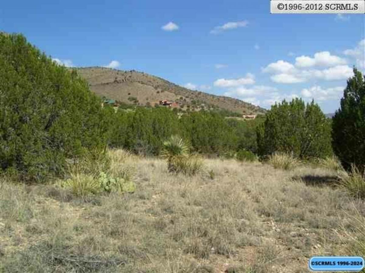 Picture of Residential Land For Sale in Mimbres, New Mexico, United States