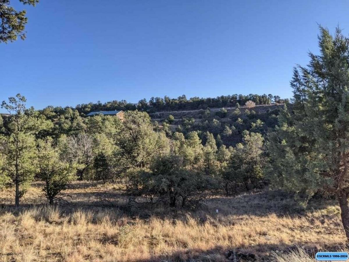 Picture of Residential Land For Sale in Silver City, New Mexico, United States