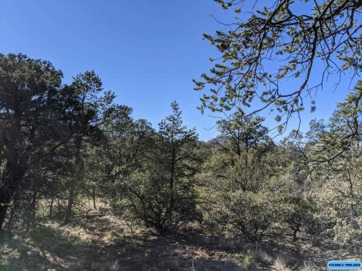 Picture of Residential Land For Sale in Silver City, New Mexico, United States