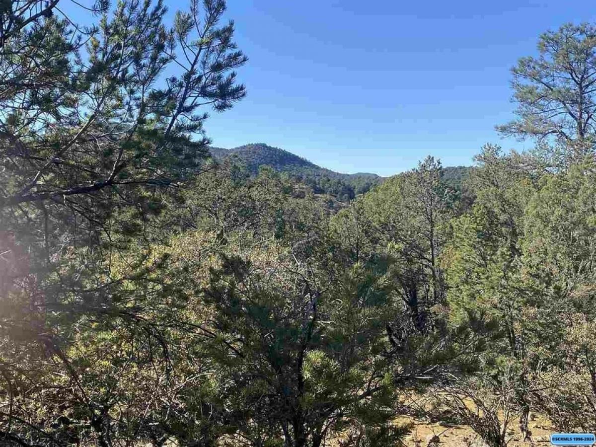 Picture of Residential Land For Sale in Silver City, New Mexico, United States