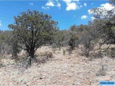 Residential Land For Sale in Silver City, New Mexico