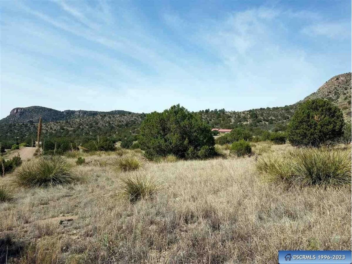 Picture of Residential Land For Sale in Mimbres, New Mexico, United States