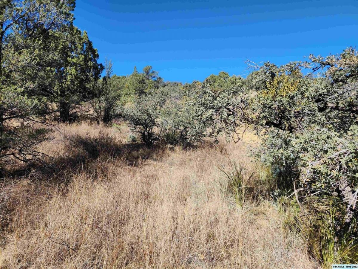 Picture of Residential Land For Sale in Silver City, New Mexico, United States