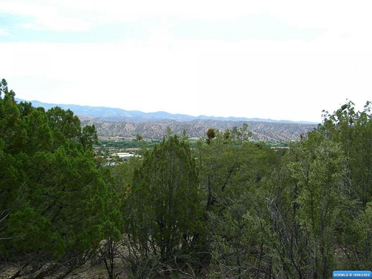 Picture of Residential Land For Sale in Mimbres, New Mexico, United States