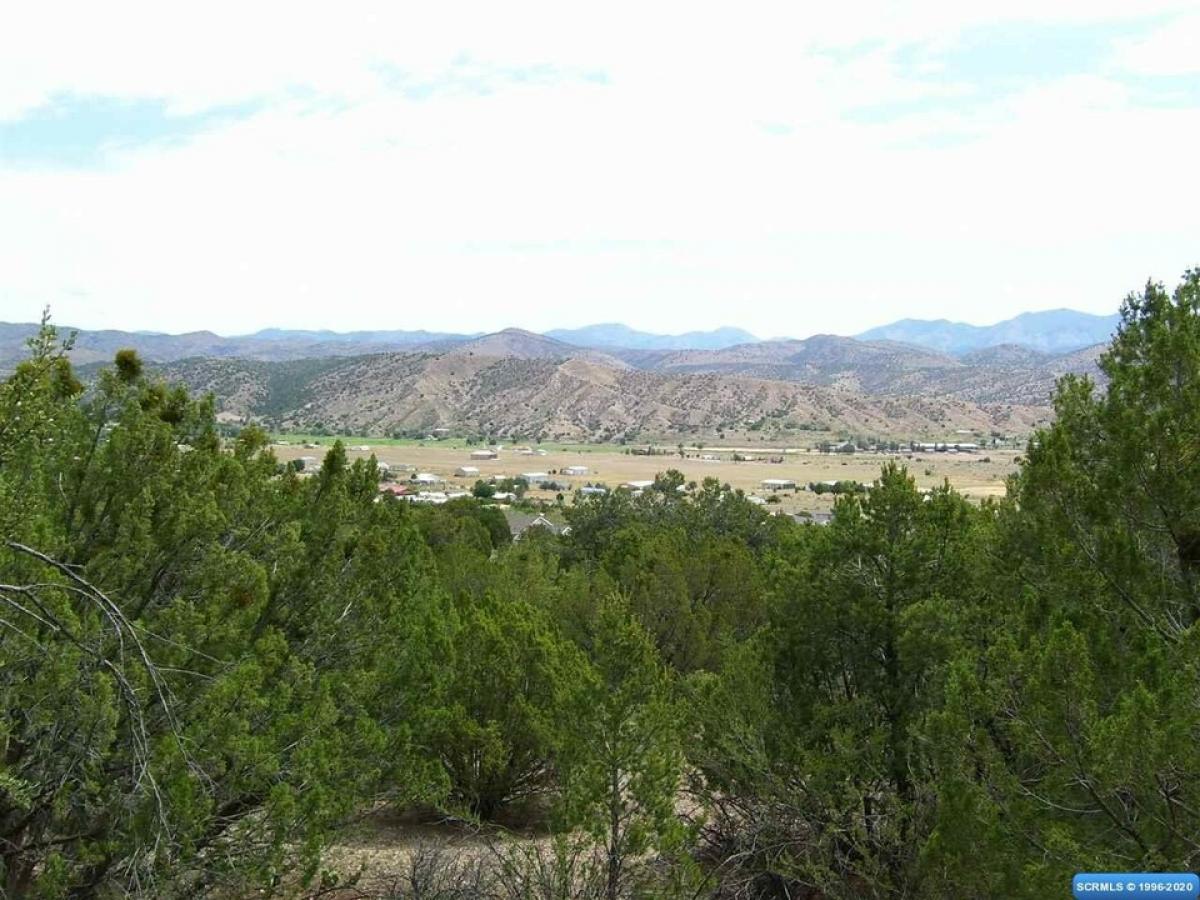 Picture of Residential Land For Sale in Mimbres, New Mexico, United States