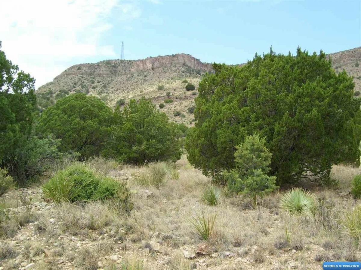 Picture of Residential Land For Sale in Mimbres, New Mexico, United States