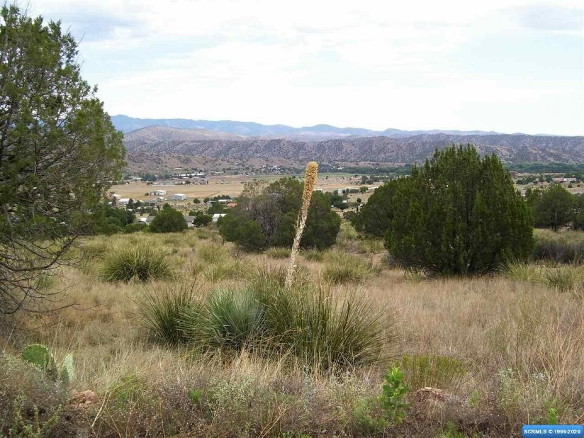 Picture of Residential Land For Sale in Mimbres, New Mexico, United States