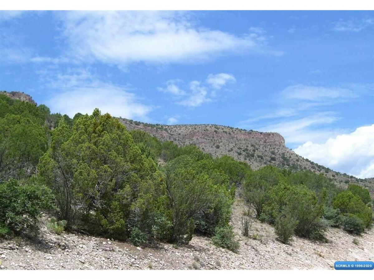 Picture of Residential Land For Sale in Mimbres, New Mexico, United States