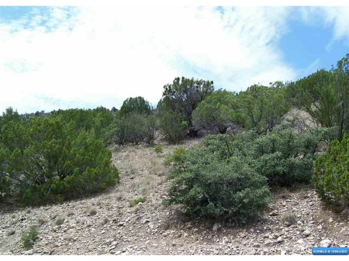 Picture of Residential Land For Sale in Mimbres, New Mexico, United States