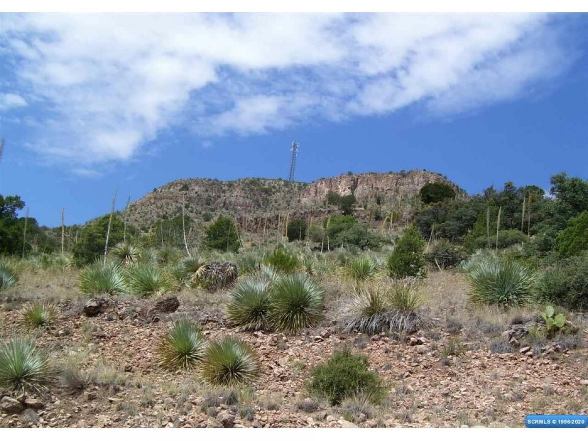 Picture of Residential Land For Sale in Mimbres, New Mexico, United States