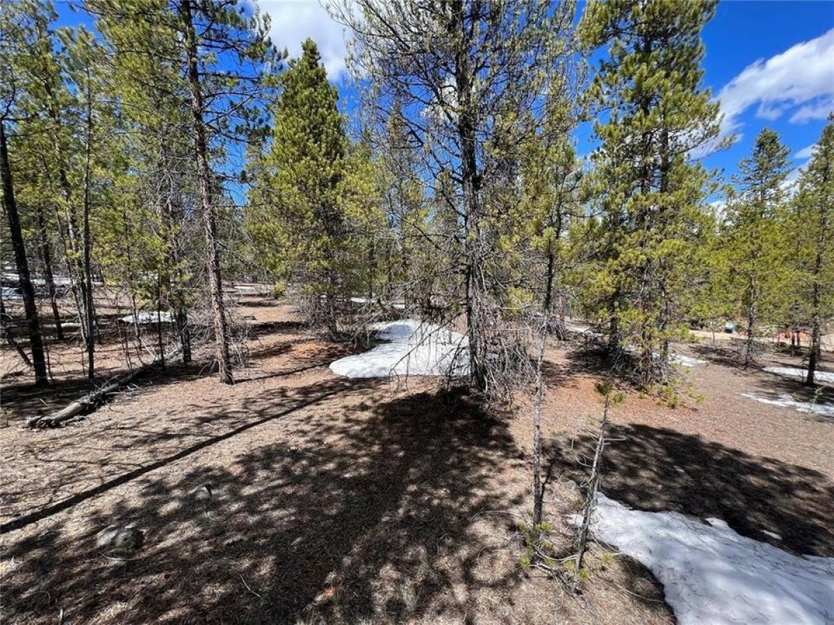 Picture of Residential Land For Sale in Twin Lakes, Colorado, United States