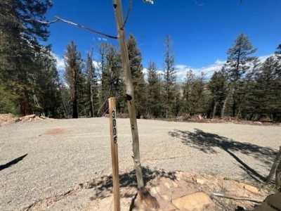 Residential Land For Sale in Fairplay, Colorado