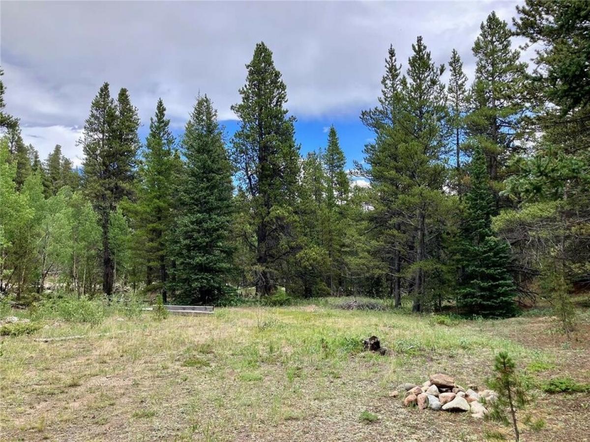 Picture of Residential Land For Sale in Fairplay, Colorado, United States