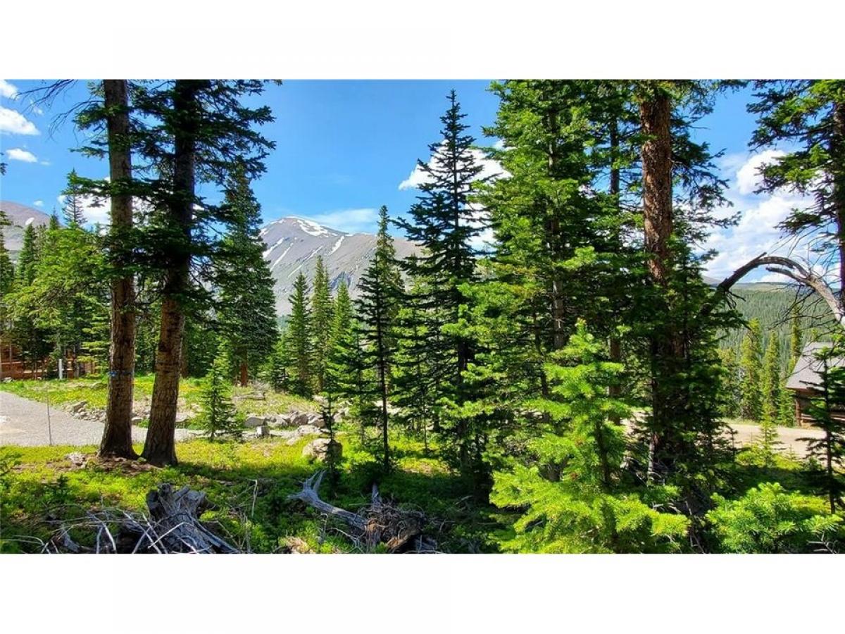 Picture of Residential Land For Sale in Breckenridge, Colorado, United States