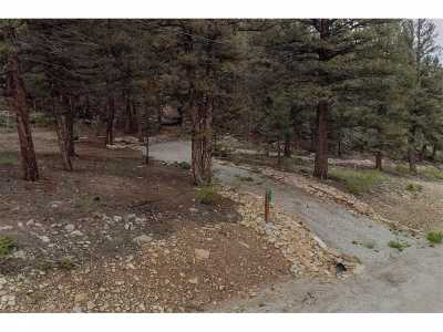 Residential Land For Sale in Fairplay, Colorado