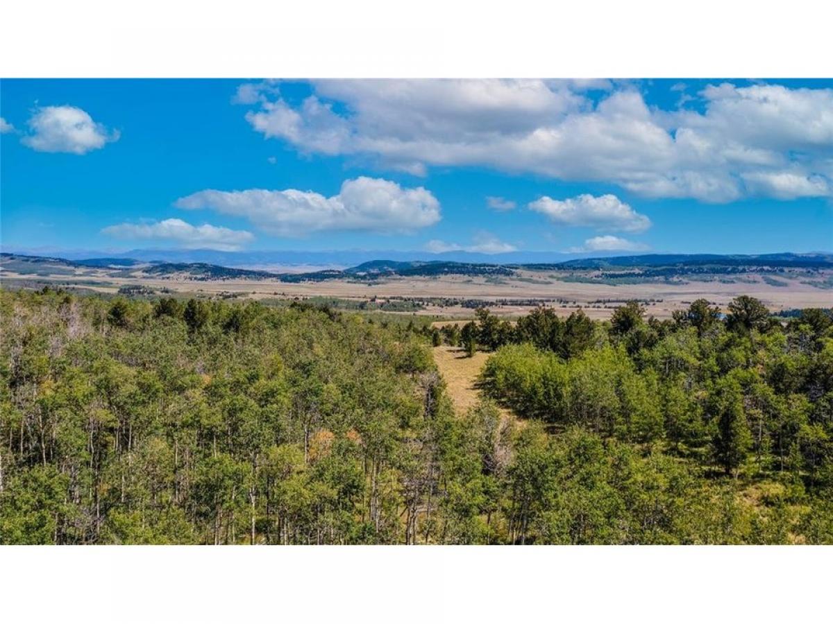 Picture of Residential Land For Sale in Fairplay, Colorado, United States