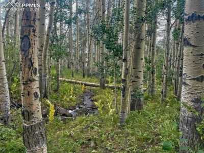 Residential Land For Sale in Gardner, Colorado