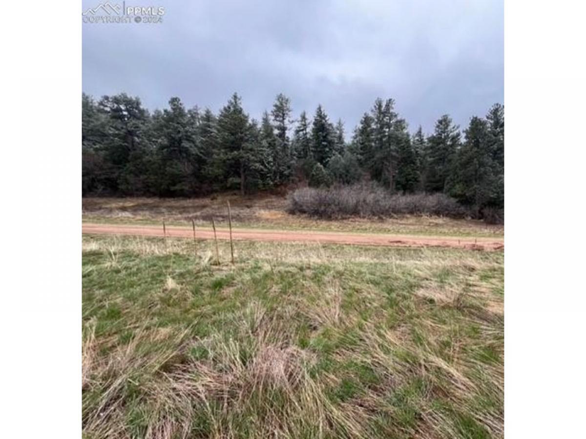 Picture of Residential Land For Sale in Larkspur, Colorado, United States