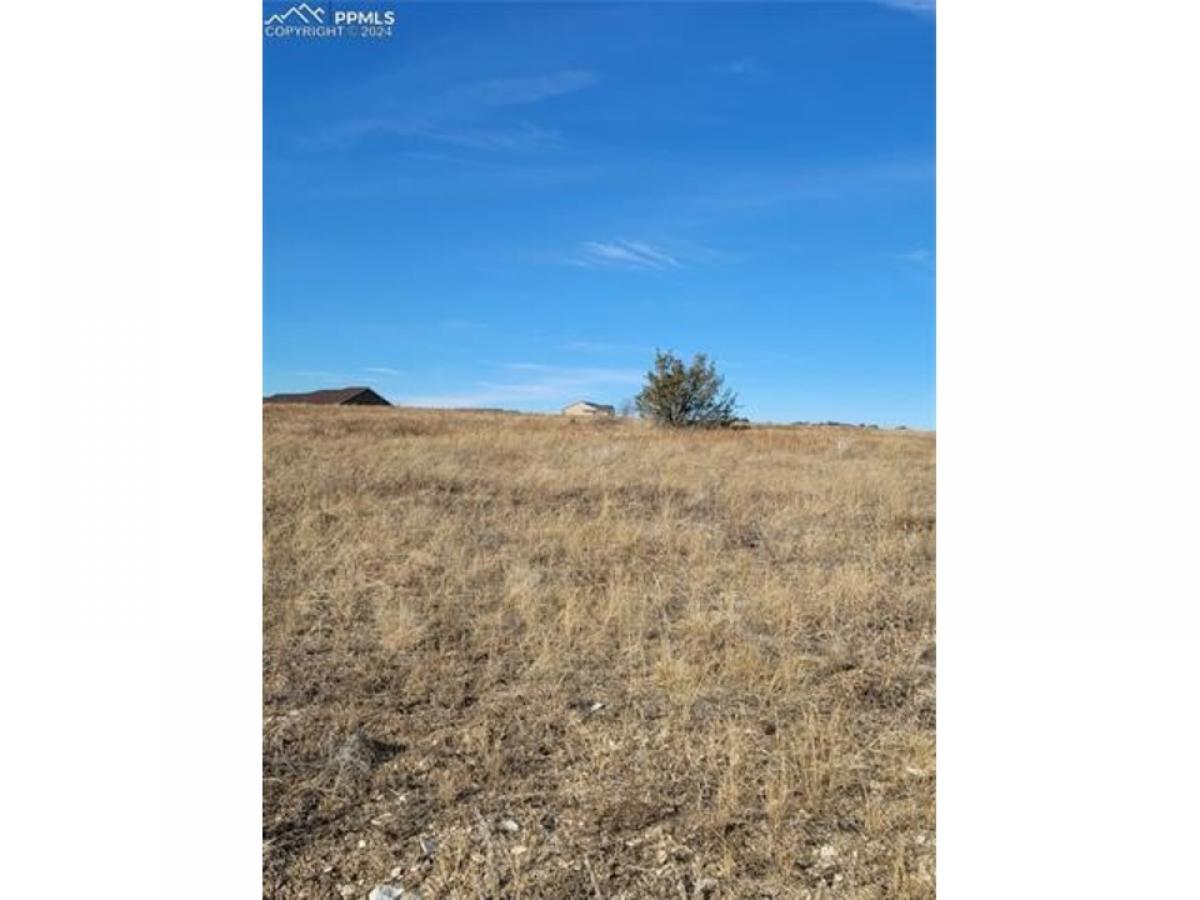 Picture of Residential Land For Sale in Colorado City, Colorado, United States