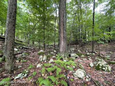 Residential Land For Sale in Canadensis, Pennsylvania