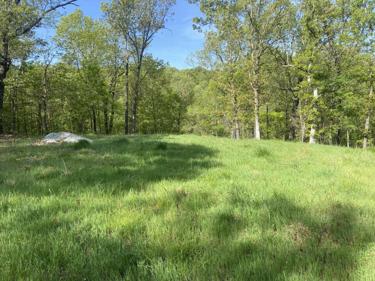 Picture of Residential Land For Sale in Fairland, Oklahoma, United States